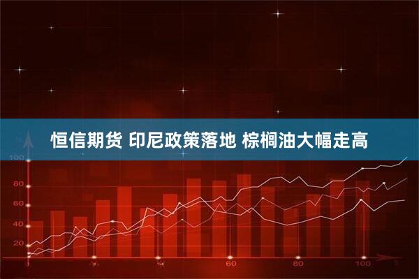 恒信期货 印尼政策落地 棕榈油大幅走高