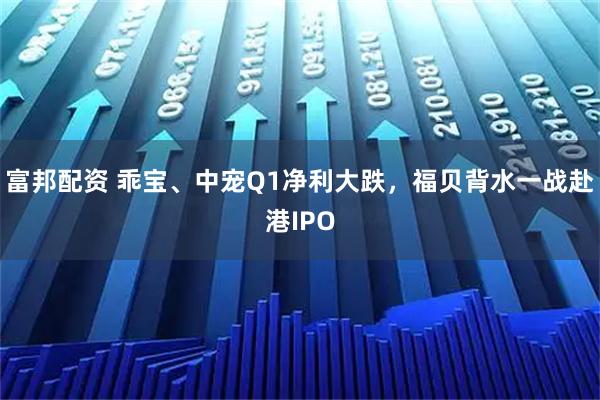 富邦配资 乖宝、中宠Q1净利大跌，福贝背水一战赴港IPO